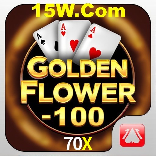 Interface Premium 70X